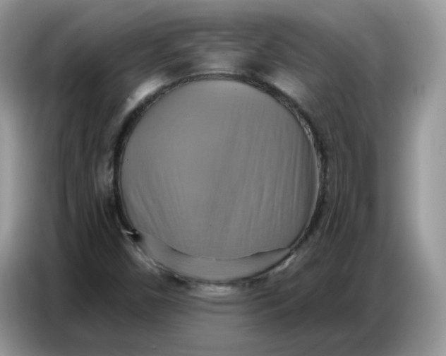 X0000086751450200704271701