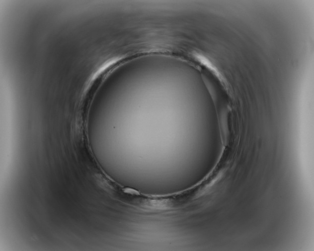 X0000086751453200704271701