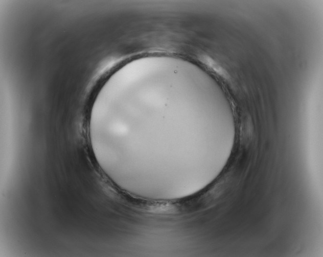 X0000086751454200704271701