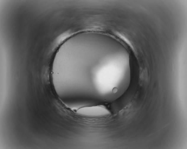 X0000086751455200704271701