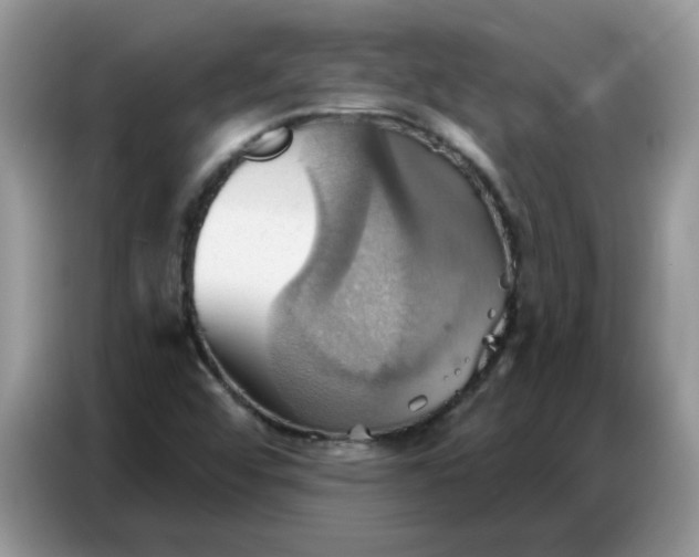 X0000086751456200704271701