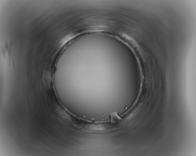 X0000086751457200704271701