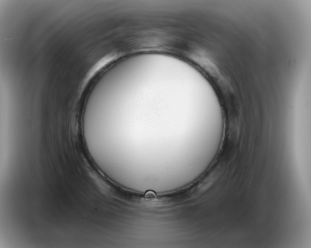 X0000086751458200704271701