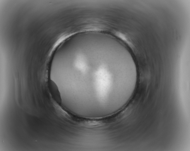 X0000086751459200704271701