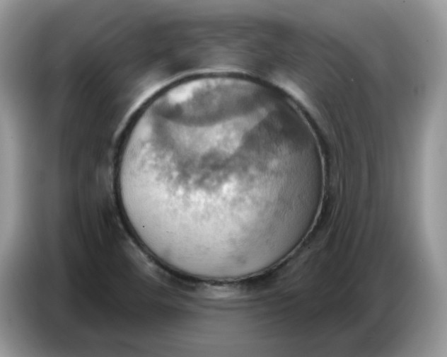 X0000086751460200704271701