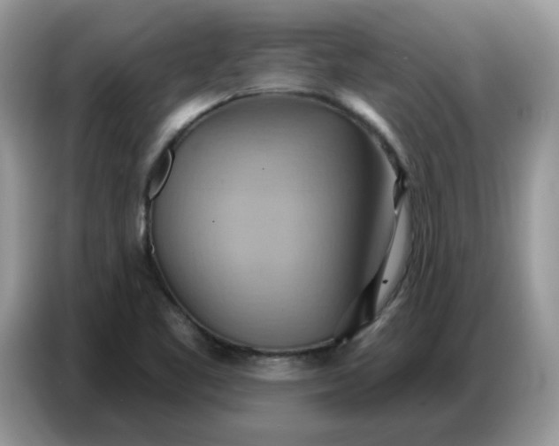 X0000086751461200704271701