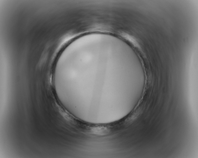 X0000086751462200704271701