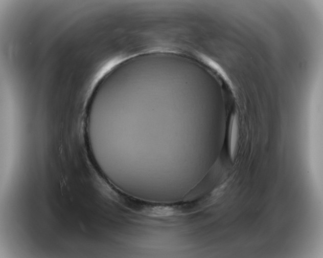 X0000086751463200704271701