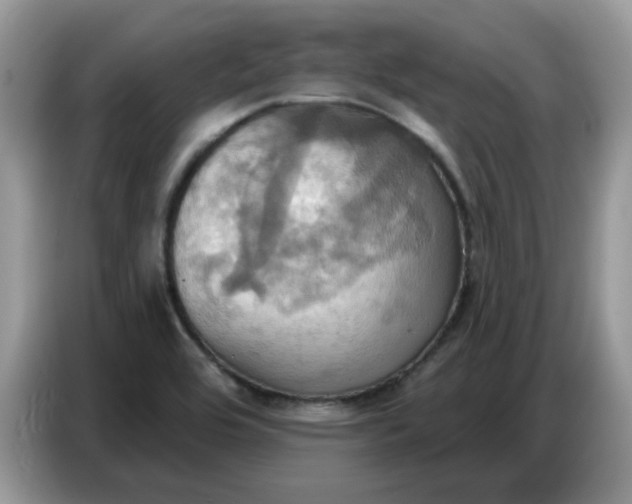 X0000086751464200704271700