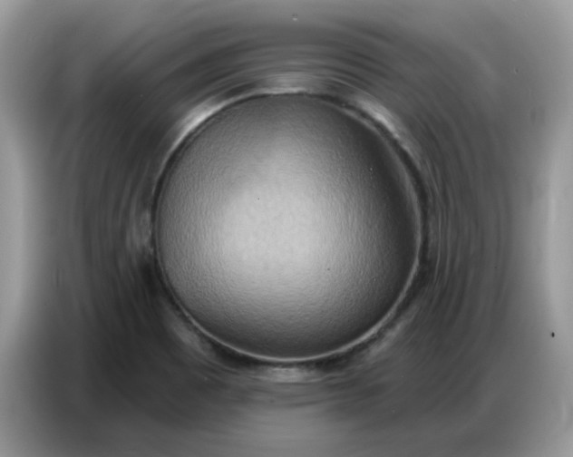 X0000086751465200704271700