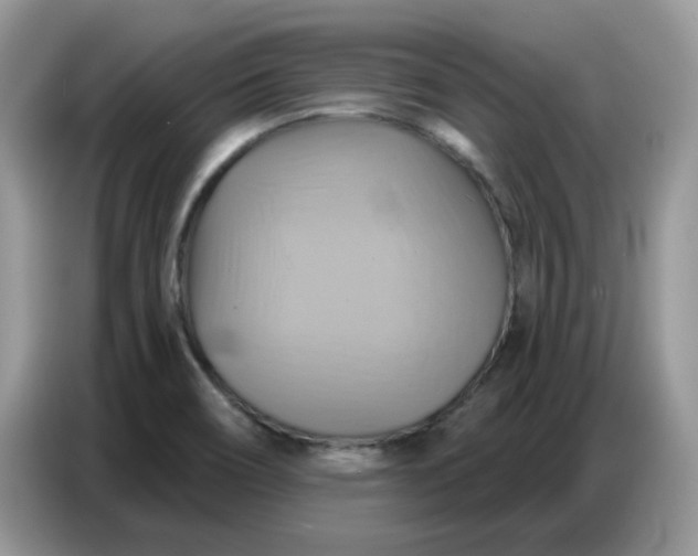 X0000086751466200704271700