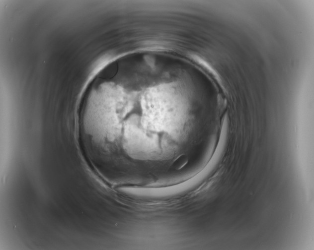 X0000086751467200704271700