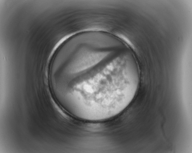 X0000086751468200704271700