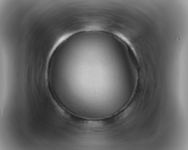 X0000086751469200704271700