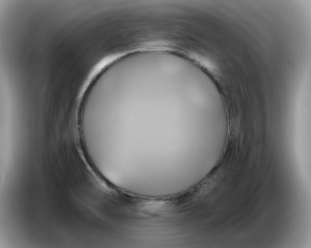 X0000086751470200704271700