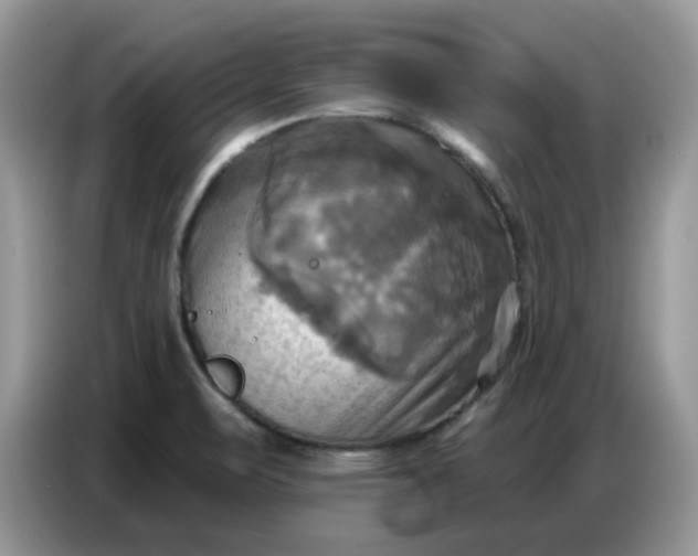 X0000086751471200704271700