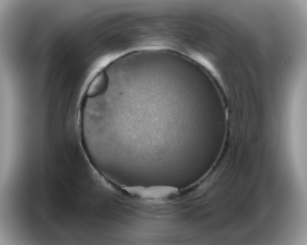 X0000086751472200704271700