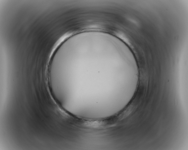 X0000086751474200704271700