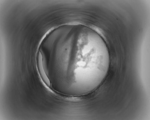 X0000086751476200704271700