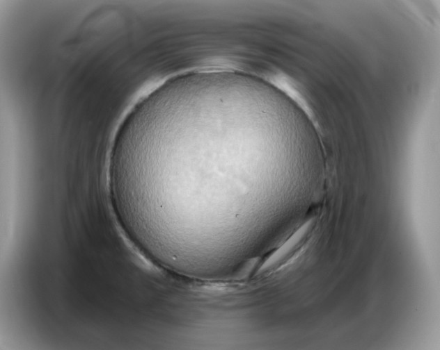 X0000086751477200704271700