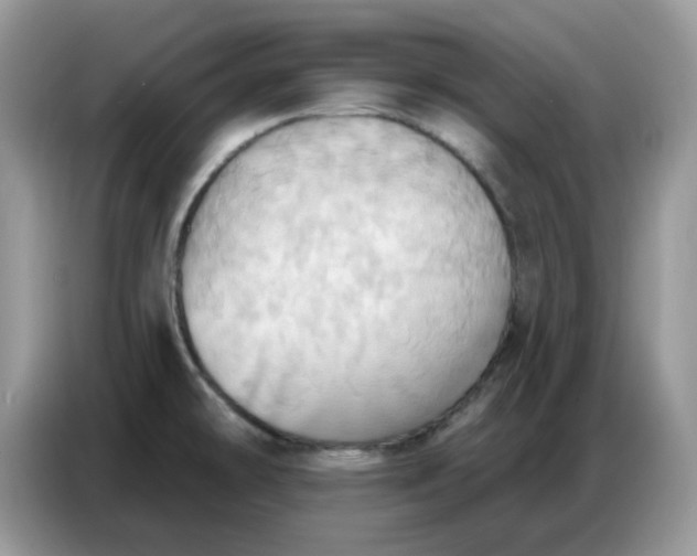 X0000086751478200704271700