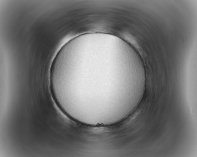 X0000086751479200704271700