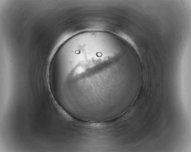 X0000086751480200704271700