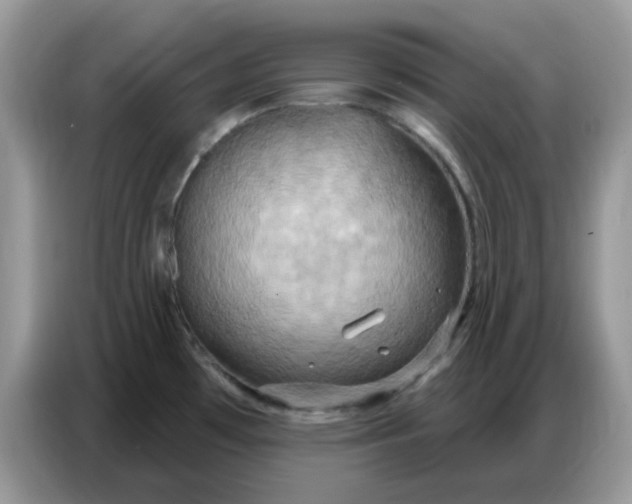 X0000086751481200704271700