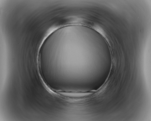 X0000086751482200704271700