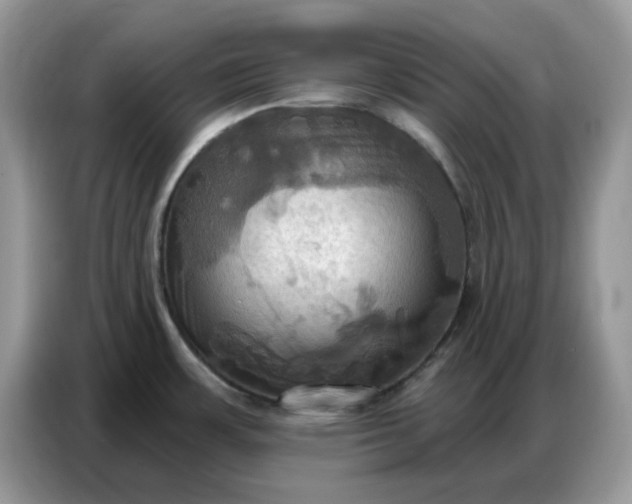 X0000086751483200704271700