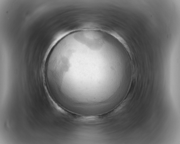 X0000086751486200704271700