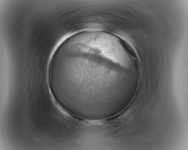 X0000086751488200704271700