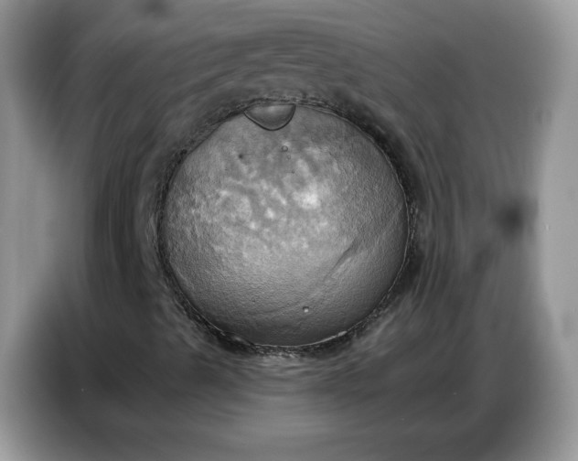 X0000086751489200704271700