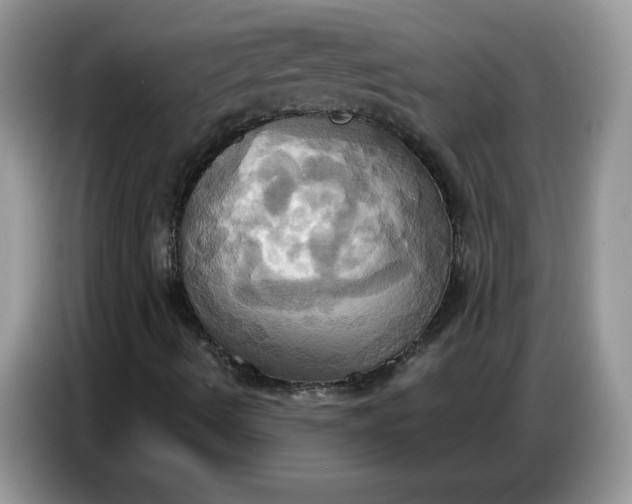 X0000086751490200704271700