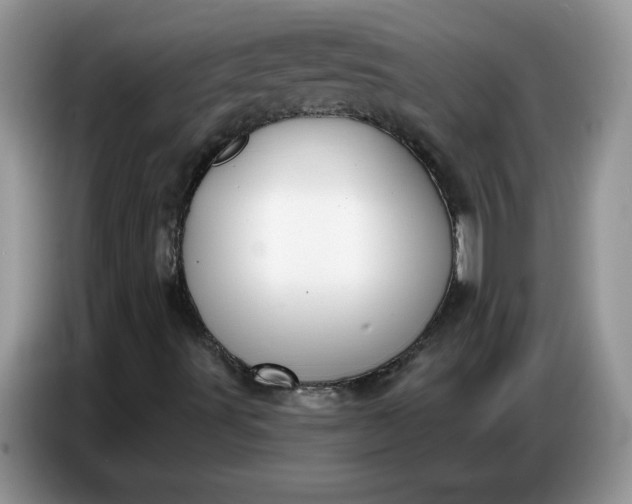 X0000086751491200704271700