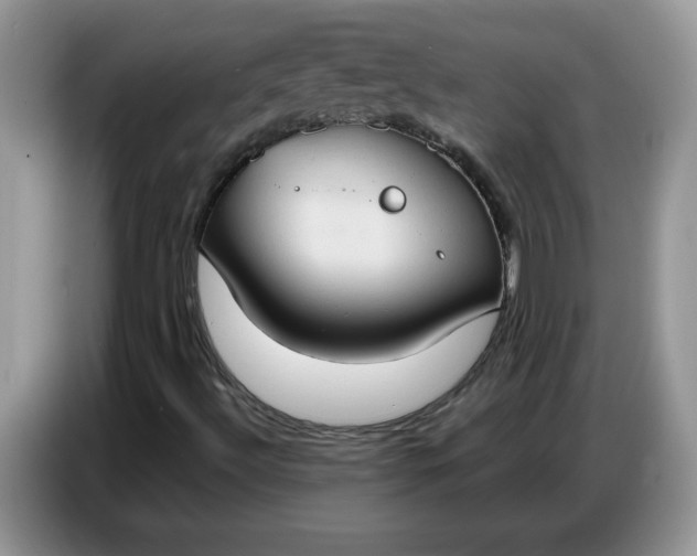 X0000086751492200704271700