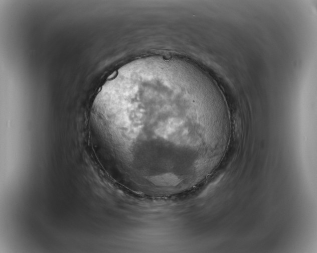 X0000086751494200704271700