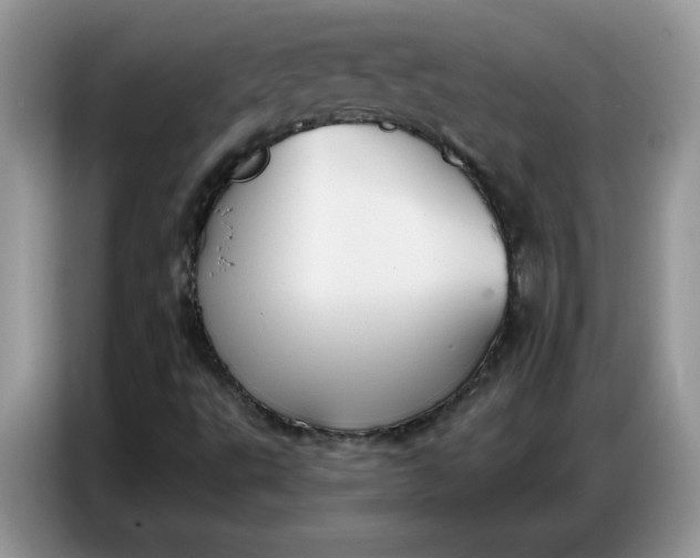 X0000086751495200704271700