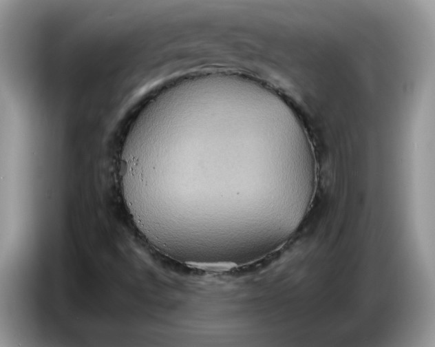 X0000086751496200704271700