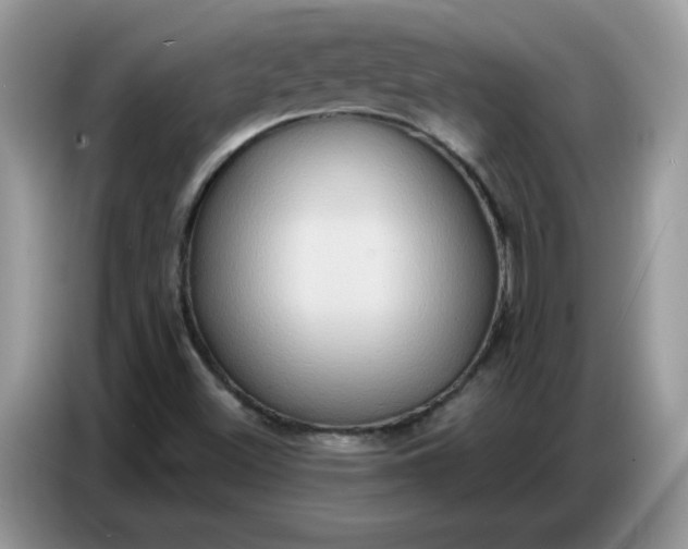 X0000086751500200704271700