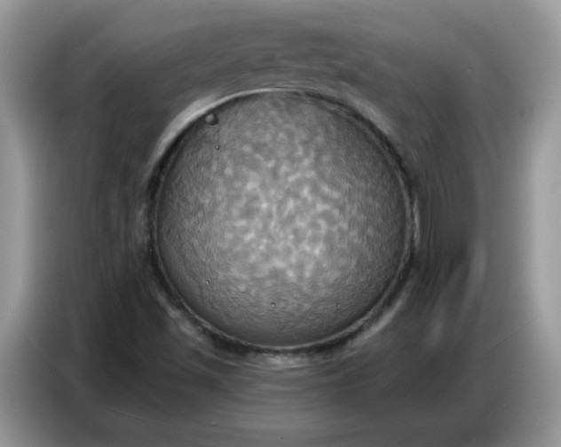 X0000086751501200704271700