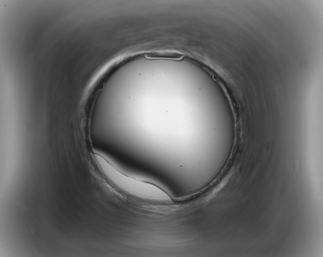 X0000086751502200704271700