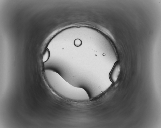 X0000086751504200704271700