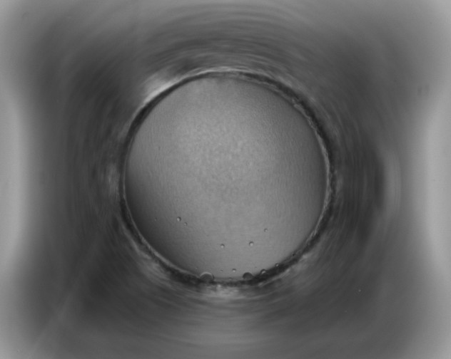 X0000086751505200704271700