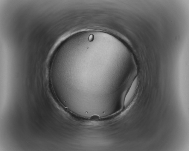 X0000086751506200704271700