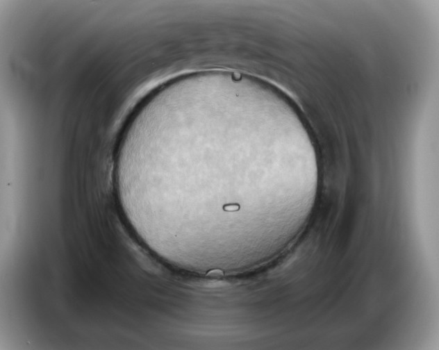 X0000086751507200704271700