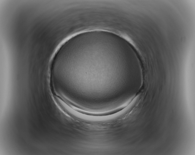 X0000086751508200704271700