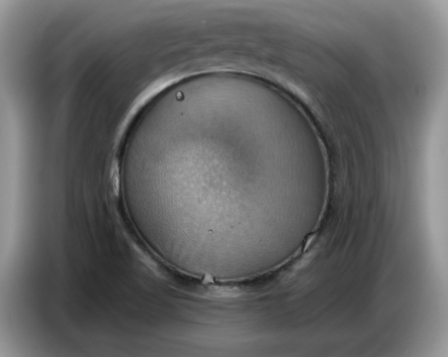 X0000086751509200704271700