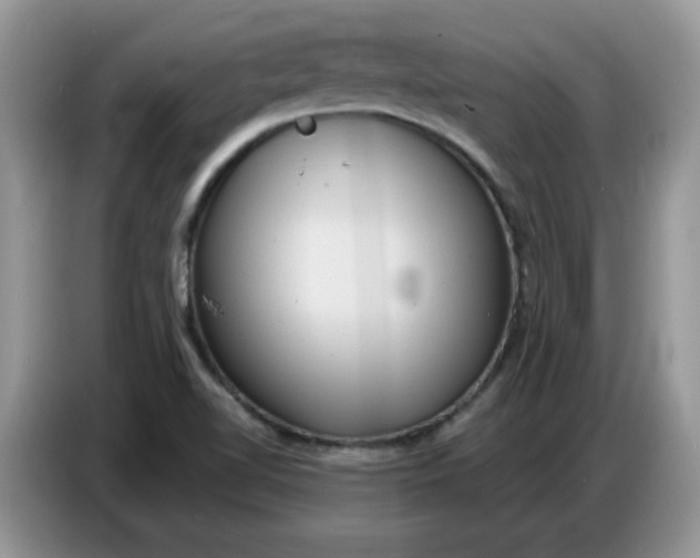 X0000086751510200704271700