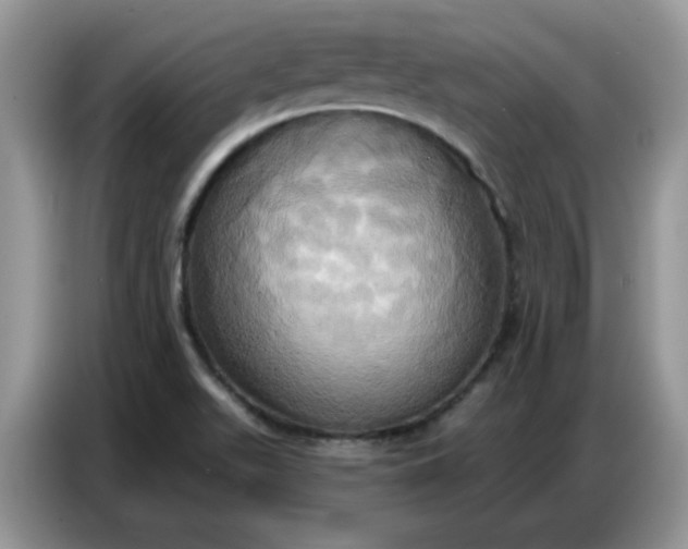 X0000086751511200704271700